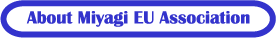 About Miyagi EU Association